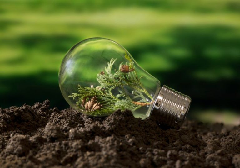 wepik-export-20230711154514XTEk